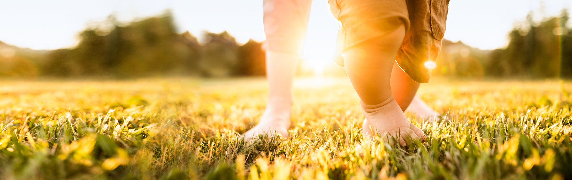 Ein Kind, das mit seinem Vater auf einer grünen Wiese spielt als Imagebild für den Climate Impact Pool, den die Fonds Finanz ins Leben gerufen hat, um sich gemeinsam mit anderen Firmen für das Klima zu engagieren